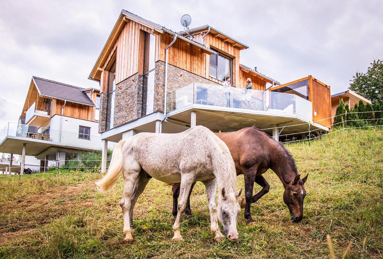 Golden Hill Country Chalets & Suites Waldschach Dış mekan fotoğraf