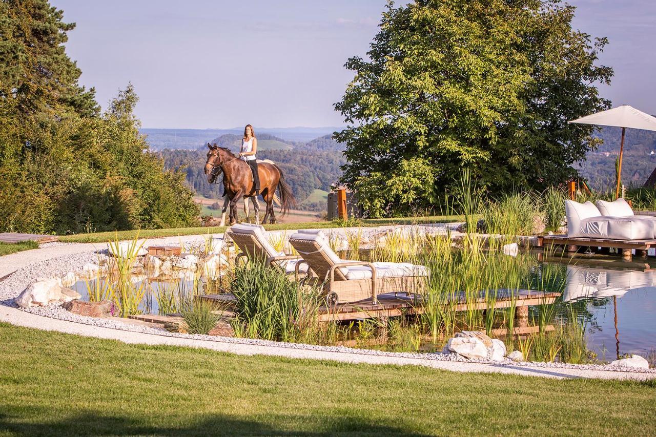 Golden Hill Country Chalets & Suites Waldschach Dış mekan fotoğraf