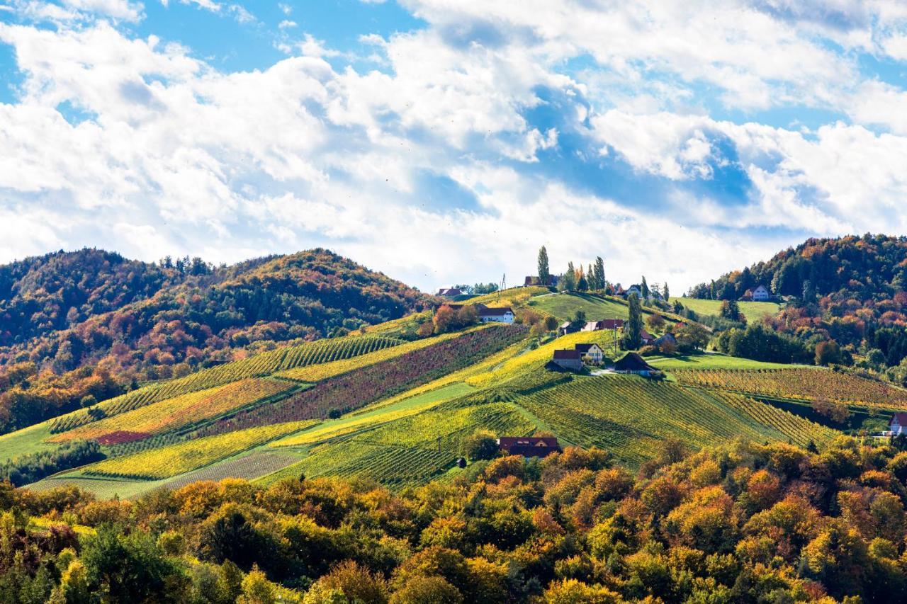Golden Hill Country Chalets & Suites Waldschach Dış mekan fotoğraf